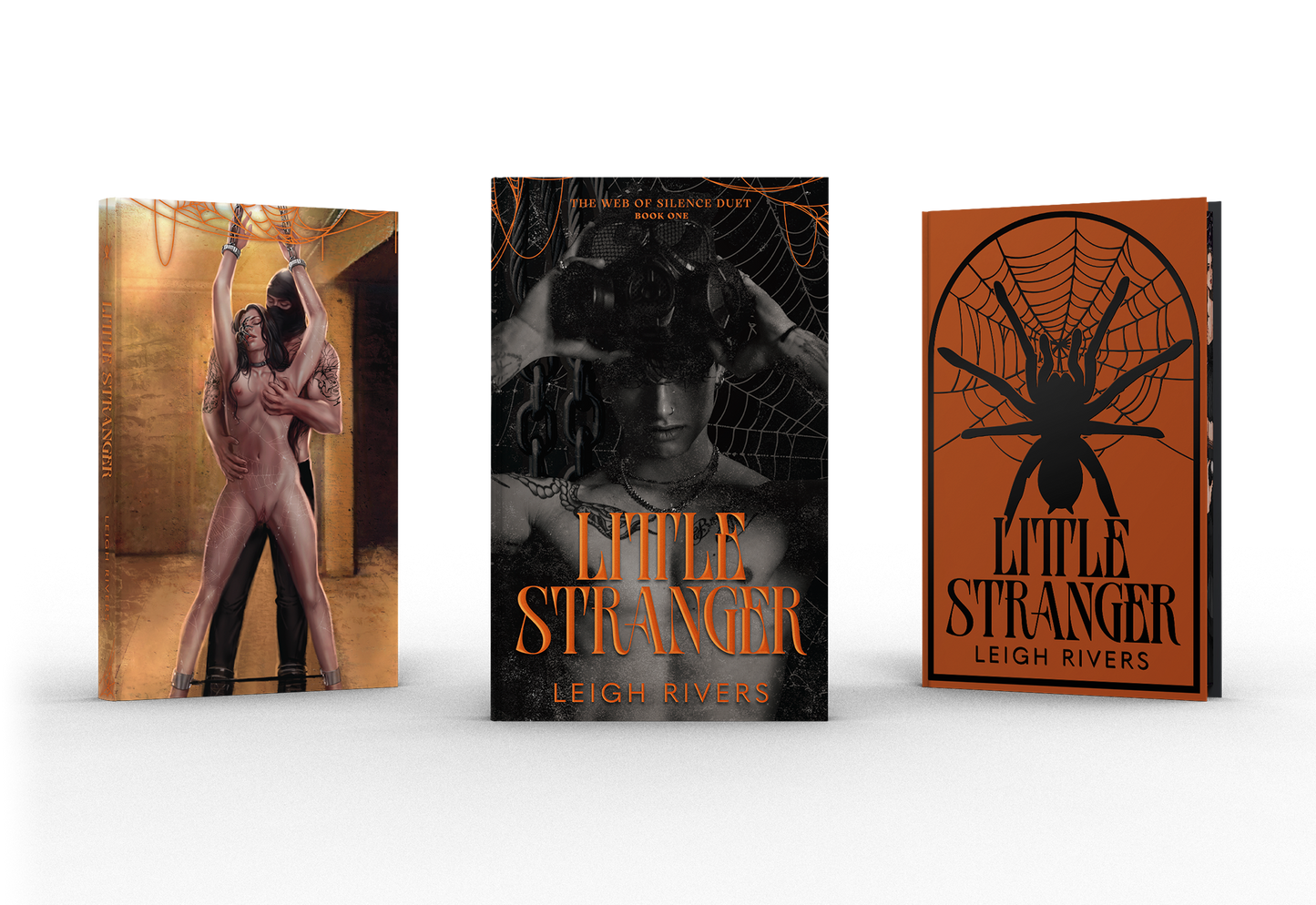 The Web of Silence by Leigh Rivers