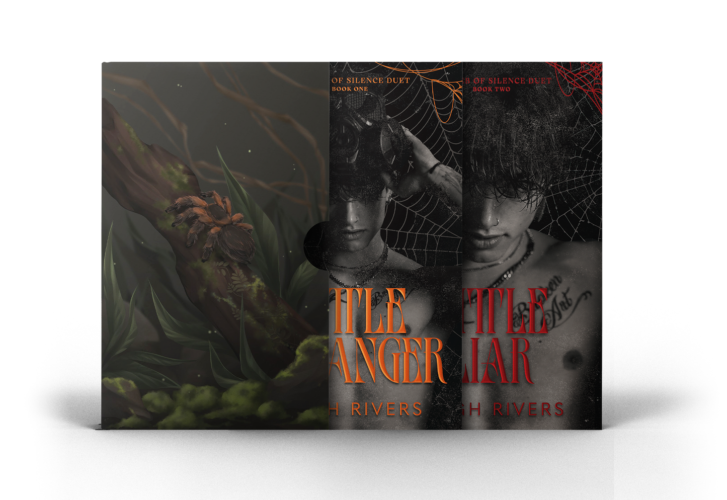 The Web of Silence by Leigh Rivers